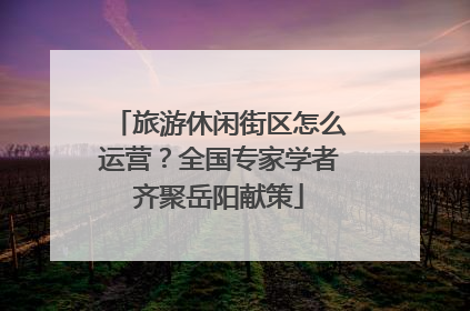旅游休闲街区怎么运营？全国专家学者齐聚岳阳献策