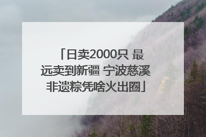 日卖2000只 最远卖到新疆 宁波慈溪非遗粽凭啥火出圈