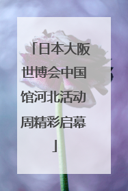 日本大阪世博会中国馆河北活动周精彩启幕