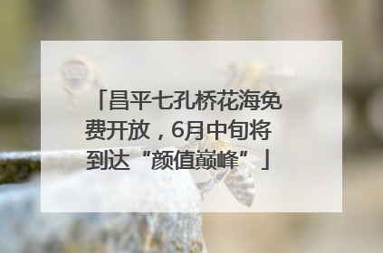 昌平七孔桥花海免费开放，6月中旬将到达“颜值巅峰”