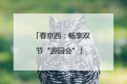 春京西：畅享双节“游园会”