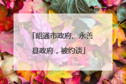 昭通市政府、永善县政府，被约谈