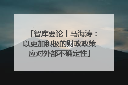 智库要论丨马海涛：以更加积极的财政政策应对外部不确定性