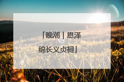 晚潮｜恩泽绵长义贞祠