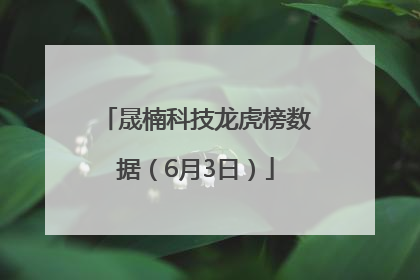 晟楠科技龙虎榜数据（6月3日）