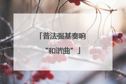 普法强基奏响“和谐曲”