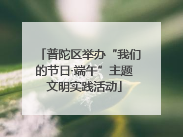 普陀区举办“我们的节日·端午”主题文明实践活动