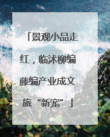 景观小品走红，临沭柳编藤编产业成文旅“新宠”