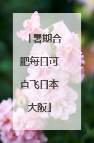 暑期合肥每日可直飞日本大阪