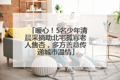 暖心！5名少年清晨采摘助北宅孤寡老人售杏，多方善意传递城市温情