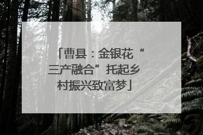 曹县：金银花“三产融合”托起乡村振兴致富梦
