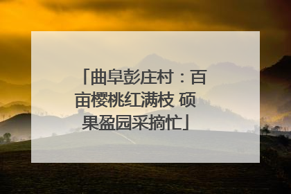 曲阜彭庄村：百亩樱桃红满枝 硕果盈园采摘忙