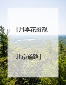 月季花扮靓北京道路