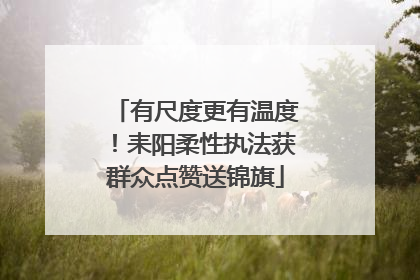 有尺度更有温度！耒阳柔性执法获群众点赞送锦旗
