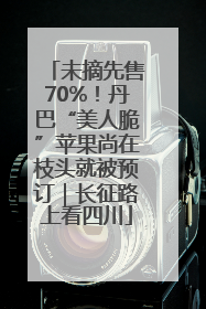 未摘先售70%！丹巴“美人脆”苹果尚在枝头就被预订｜长征路上看四川