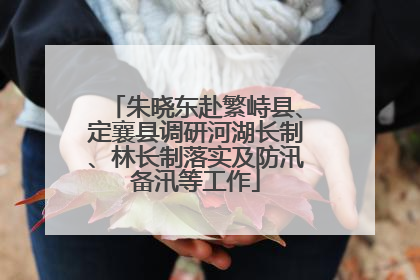 朱晓东赴繁峙县、定襄县调研河湖长制、林长制落实及防汛备汛等工作