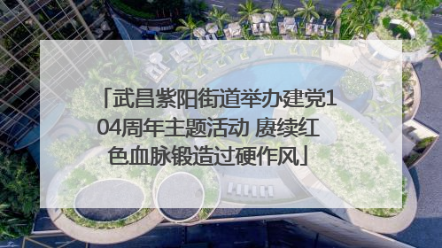 武昌紫阳街道举办建党104周年主题活动 赓续红色血脉锻造过硬作风