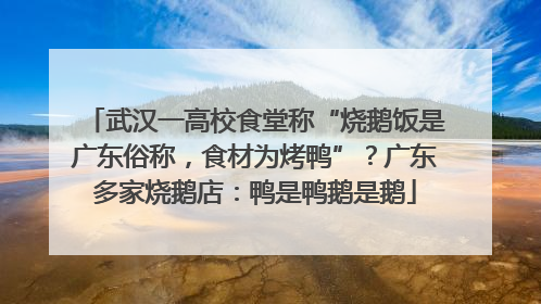 武汉一高校食堂称“烧鹅饭是广东俗称，食材为烤鸭”？广东多家烧鹅店：鸭是鸭鹅是鹅