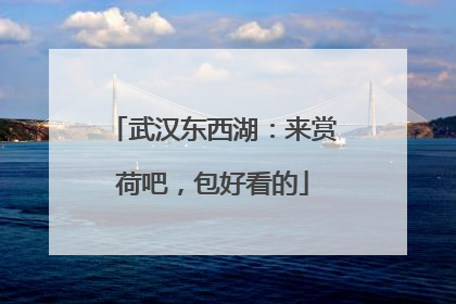 武汉东西湖：来赏荷吧，包好看的