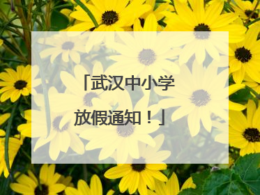 武汉中小学放假通知！