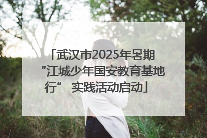 武汉市2025年暑期“江城少年国安教育基地行” 实践活动启动
