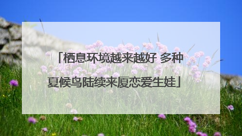 栖息环境越来越好 多种夏候鸟陆续来厦恋爱生娃