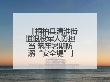 桐柏县清淮街道退役军人勇担当 筑牢暑期防溺“安全堤”