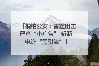 桐柏公安：雷霆出击严查“小广告” 斩断电诈“黑引流”