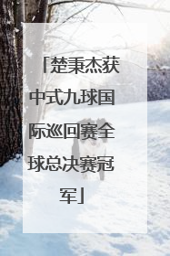 楚秉杰获中式九球国际巡回赛全球总决赛冠军