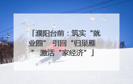 濮阳台前：筑实“就业圈” 引回“归巢雁” 激活“家经济”
