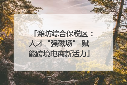 潍坊综合保税区：人才“强磁场” 赋能跨境电商新活力