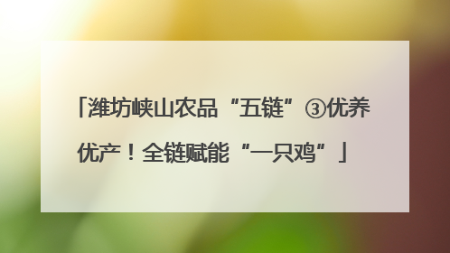 潍坊峡山农品“五链”③优养优产！全链赋能“一只鸡”