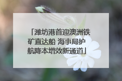 潍坊港首迎澳洲铁矿直达船 海事局护航降本增效新通道