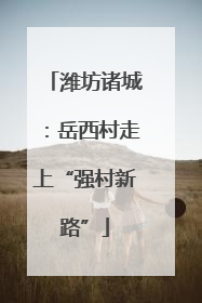潍坊诸城：岳西村走上“强村新路”