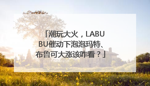 潮玩大火，LABUBU催动下泡泡玛特、布鲁可大涨该咋看？