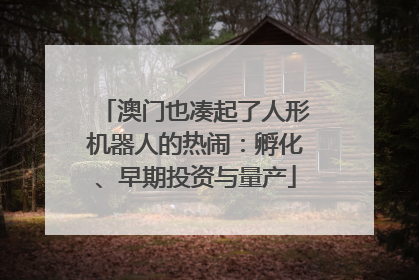 澳门也凑起了人形机器人的热闹：孵化、早期投资与量产