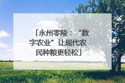 永州零陵：“数字农业”让现代农民种粮更轻松