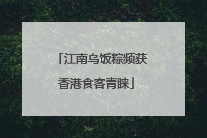 江南乌饭粽频获香港食客青睐