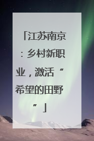 江苏南京：乡村新职业，激活“希望的田野”