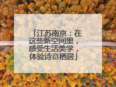 江苏南京：在这些新空间里，感受生活美学，体验诗意栖居