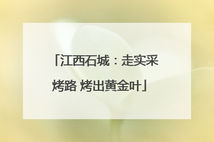 江西石城：走实采烤路 烤出黄金叶