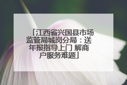 江西省兴国县市场监管局城岗分局：送年报指导上门 解商户服务难题
