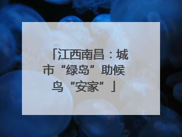 江西南昌：城市“绿岛”助候鸟“安家”