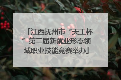 江西抚州市“天工杯”第二届新就业形态领域职业技能竞赛举办