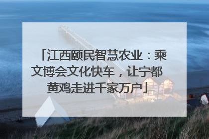 江西颐民智慧农业：乘文博会文化快车，让宁都黄鸡走进千家万户