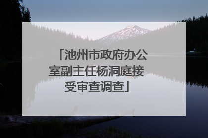 池州市政府办公室副主任杨洞庭接受审查调查