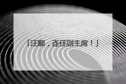 汪顺，连任副主席！