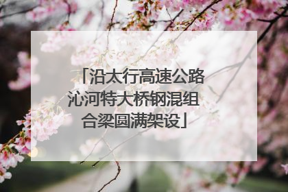 沿太行高速公路沁河特大桥钢混组合梁圆满架设