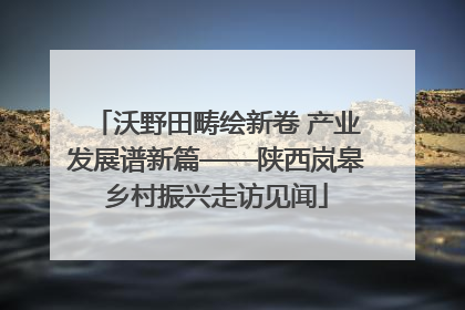沃野田畴绘新卷 产业发展谱新篇——陕西岚皋乡村振兴走访见闻