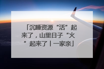沉睡资源“活”起来了，山里日子“火”起来了丨一家亲